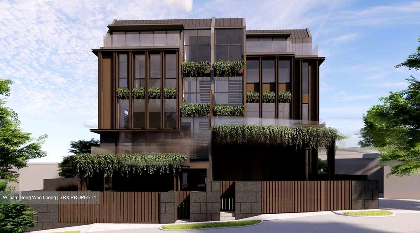 Serangoon Avenue 1 (D19), Semi-Detached #486506481